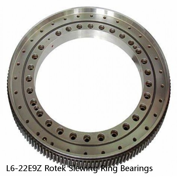 L6-22E9Z Rotek Slewing Ring Bearings