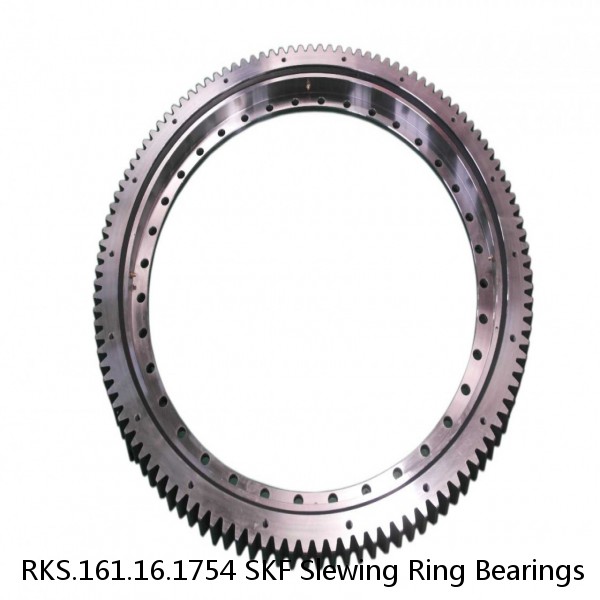 RKS.161.16.1754 SKF Slewing Ring Bearings