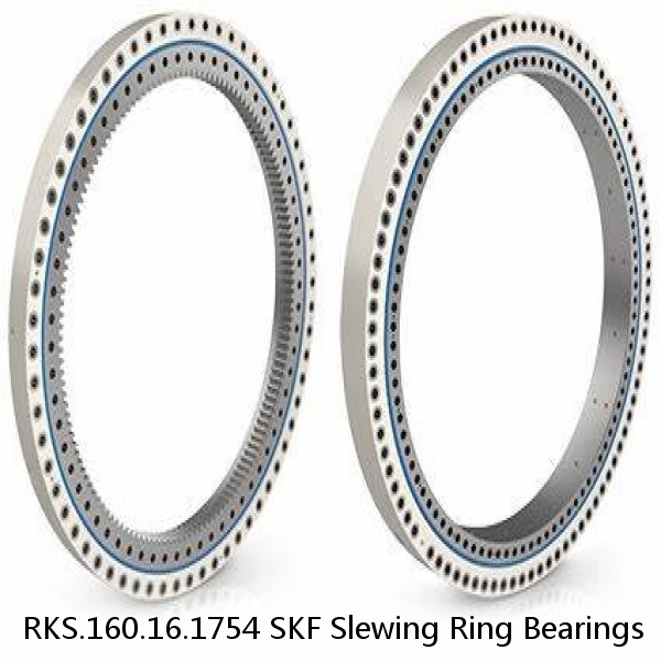 RKS.160.16.1754 SKF Slewing Ring Bearings