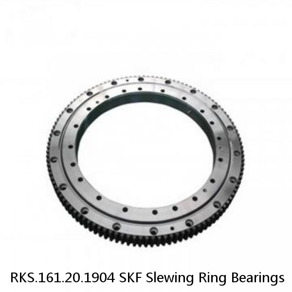 RKS.161.20.1904 SKF Slewing Ring Bearings