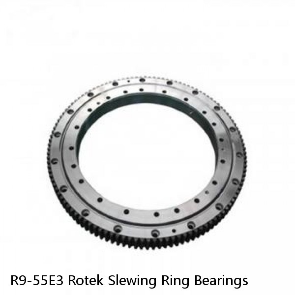 R9-55E3 Rotek Slewing Ring Bearings