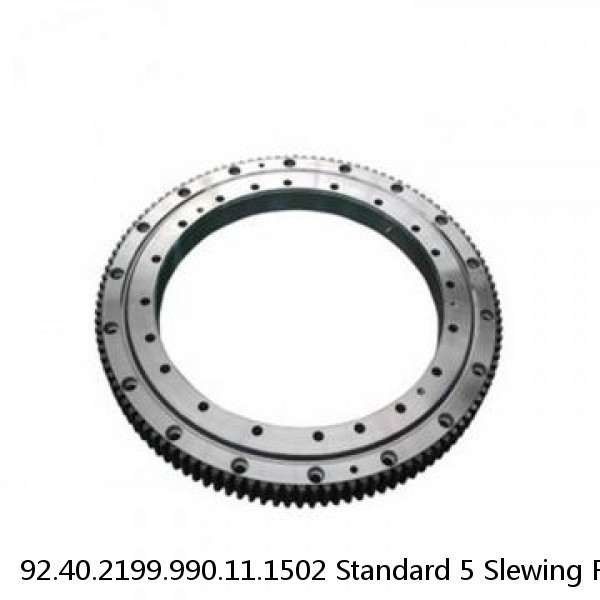 92.40.2199.990.11.1502 Standard 5 Slewing Ring Bearings #1 small image