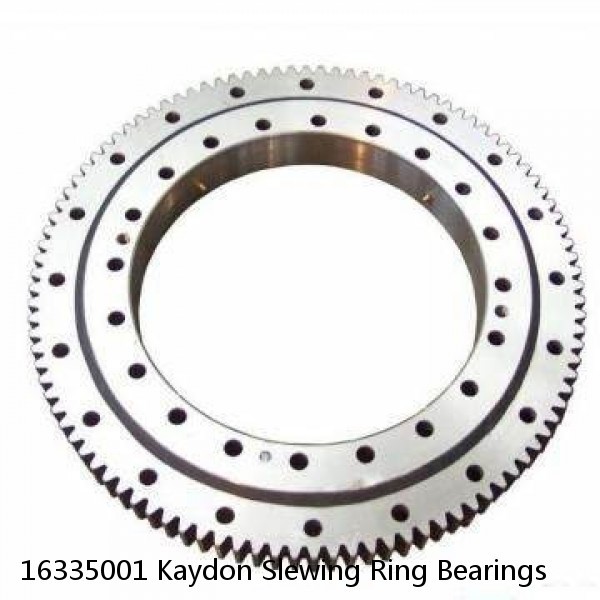 16335001 Kaydon Slewing Ring Bearings #1 small image