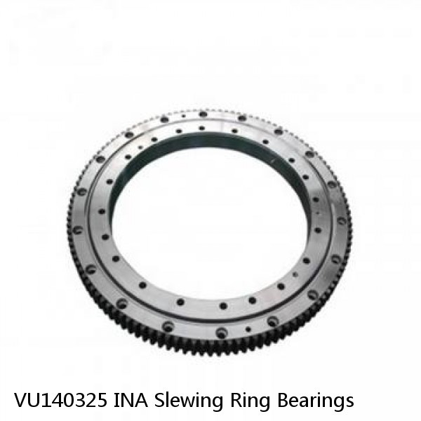 VU140325 INA Slewing Ring Bearings #1 small image