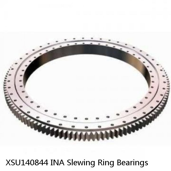 XSU140844 INA Slewing Ring Bearings #1 small image