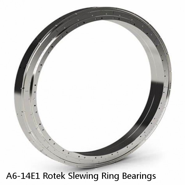 A6-14E1 Rotek Slewing Ring Bearings #1 small image