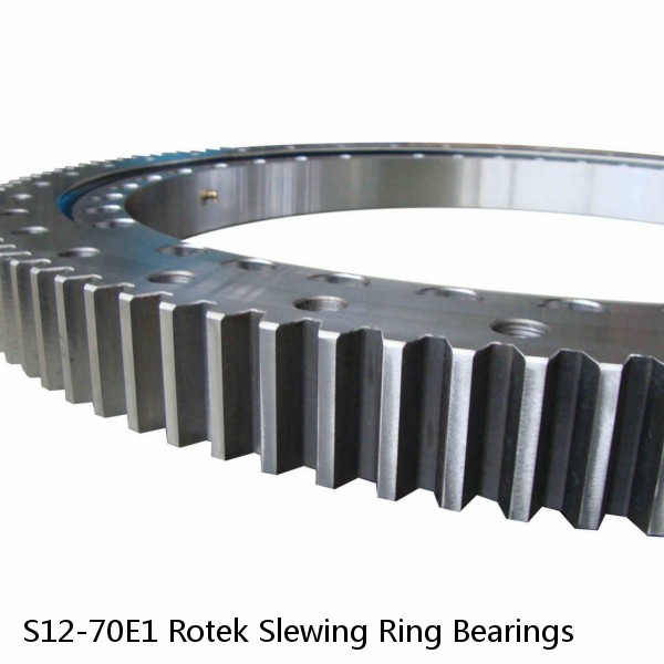 S12-70E1 Rotek Slewing Ring Bearings #1 small image
