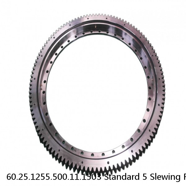 60.25.1255.500.11.1503 Standard 5 Slewing Ring Bearings #1 small image