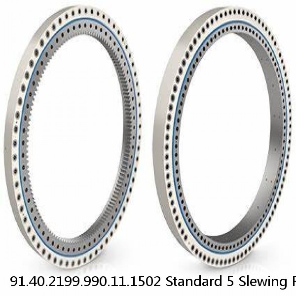 91.40.2199.990.11.1502 Standard 5 Slewing Ring Bearings #1 small image