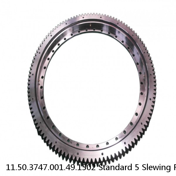 11.50.3747.001.49.1502 Standard 5 Slewing Ring Bearings #1 small image