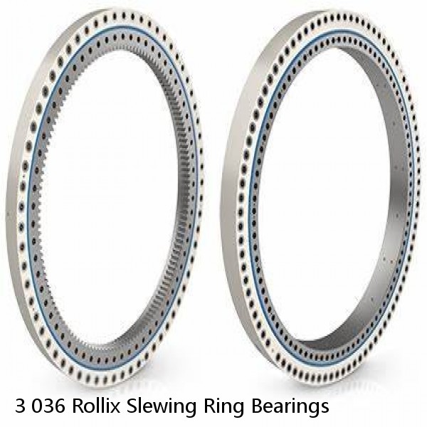 3 036 Rollix Slewing Ring Bearings #1 small image
