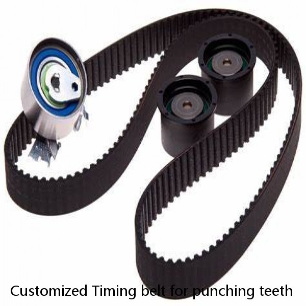 Customized Timing belt for punching teeth #1 small image