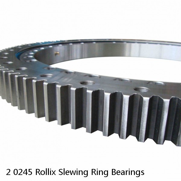 2 0245 Rollix Slewing Ring Bearings #1 image