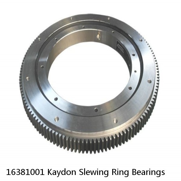 16381001 Kaydon Slewing Ring Bearings #1 image