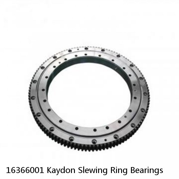 16366001 Kaydon Slewing Ring Bearings #1 image