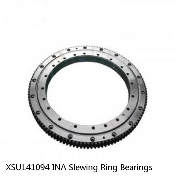 XSU141094 INA Slewing Ring Bearings #1 image