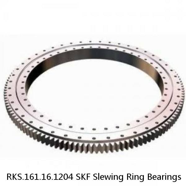 RKS.161.16.1204 SKF Slewing Ring Bearings #1 image