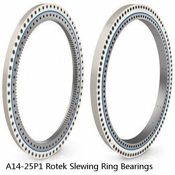 A14-25P1 Rotek Slewing Ring Bearings #1 image