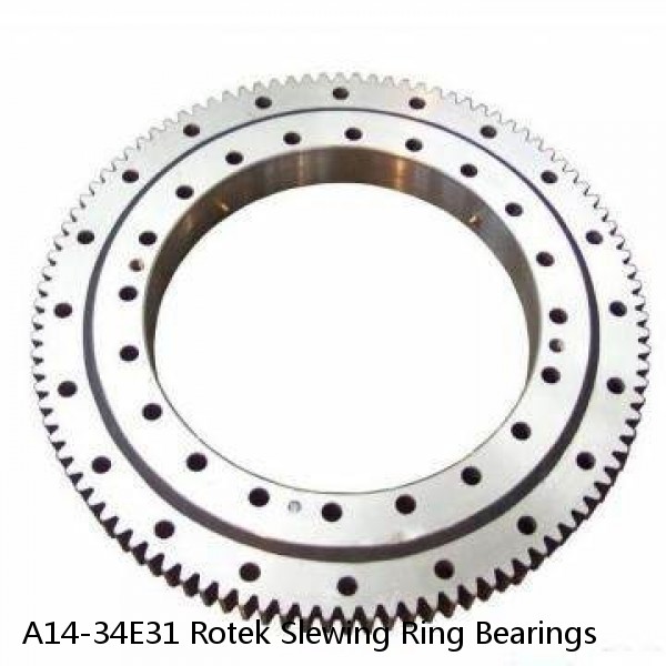 A14-34E31 Rotek Slewing Ring Bearings #1 image