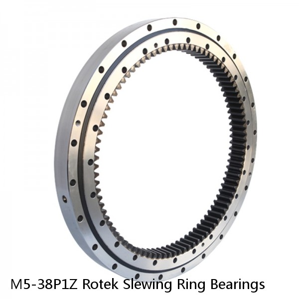 M5-38P1Z Rotek Slewing Ring Bearings #1 image