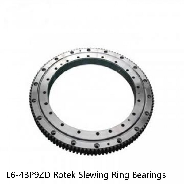 L6-43P9ZD Rotek Slewing Ring Bearings #1 image