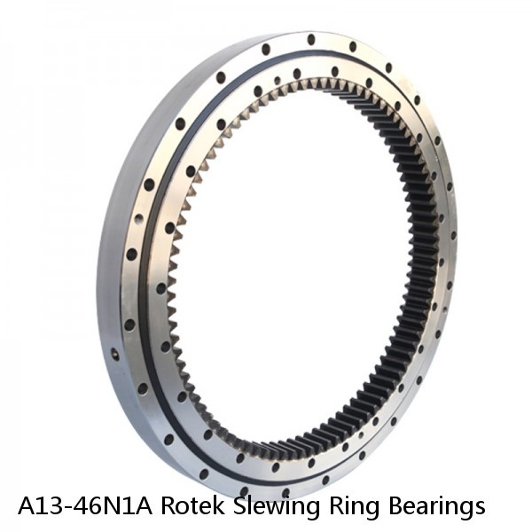 A13-46N1A Rotek Slewing Ring Bearings #1 image