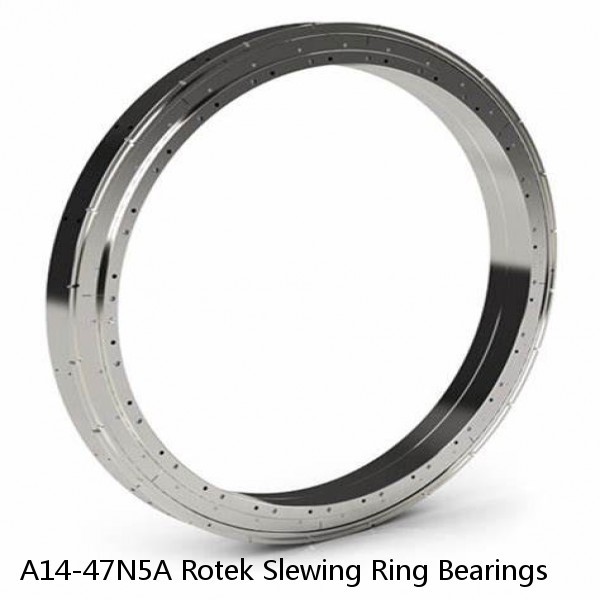 A14-47N5A Rotek Slewing Ring Bearings #1 image