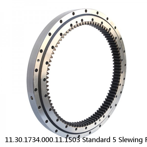 11.30.1734.000.11.1503 Standard 5 Slewing Ring Bearings #1 image