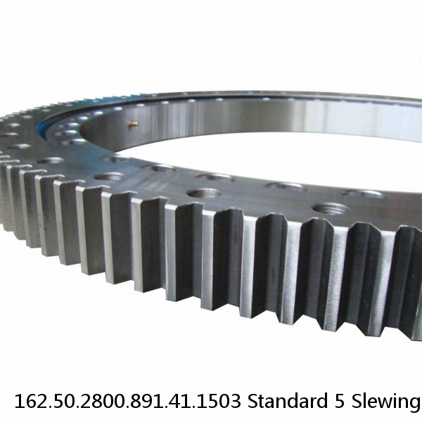 162.50.2800.891.41.1503 Standard 5 Slewing Ring Bearings #1 image