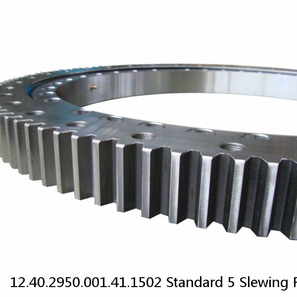 12.40.2950.001.41.1502 Standard 5 Slewing Ring Bearings #1 image