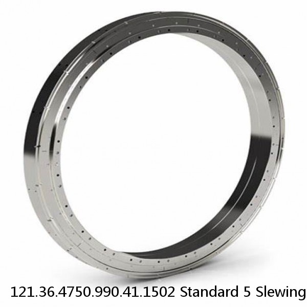 121.36.4750.990.41.1502 Standard 5 Slewing Ring Bearings #1 image