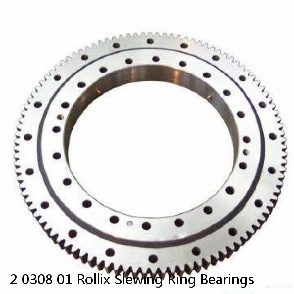 2 0308 01 Rollix Slewing Ring Bearings #1 image