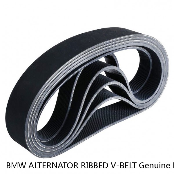 BMW ALTERNATOR RIBBED V-BELT Genuine BMW R Oilhead 12 31 7 681 841 , 4PK 592 NEW #1 image